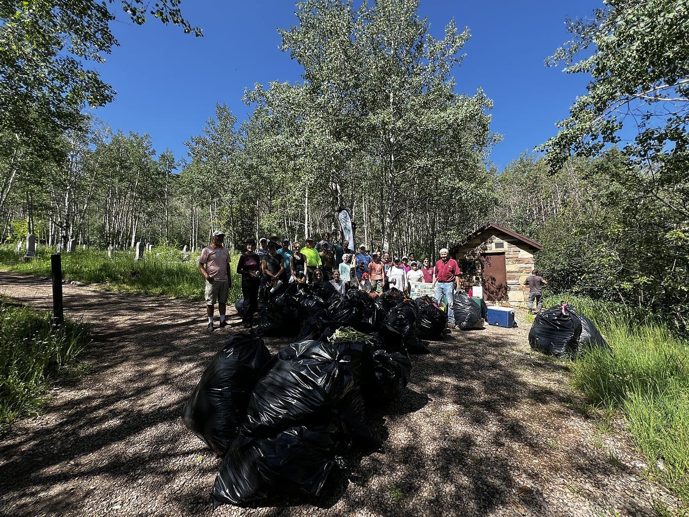 Volunteers gathered with bags of garlic mustard in an aspen grove
