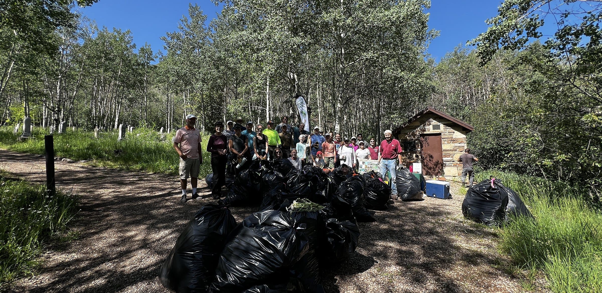 Volunteers with bags of garlic mustard in an aspen grove at the Glenwood Cemetery pull