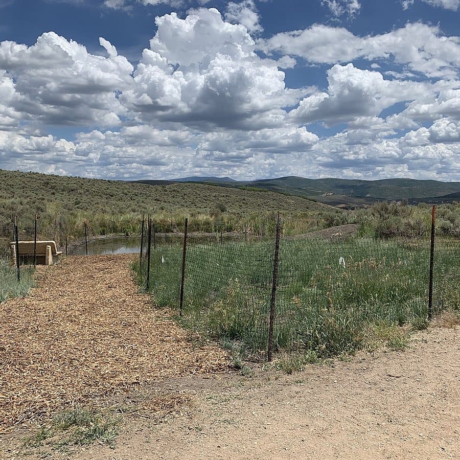 A fenced pond restoration site under a big sky